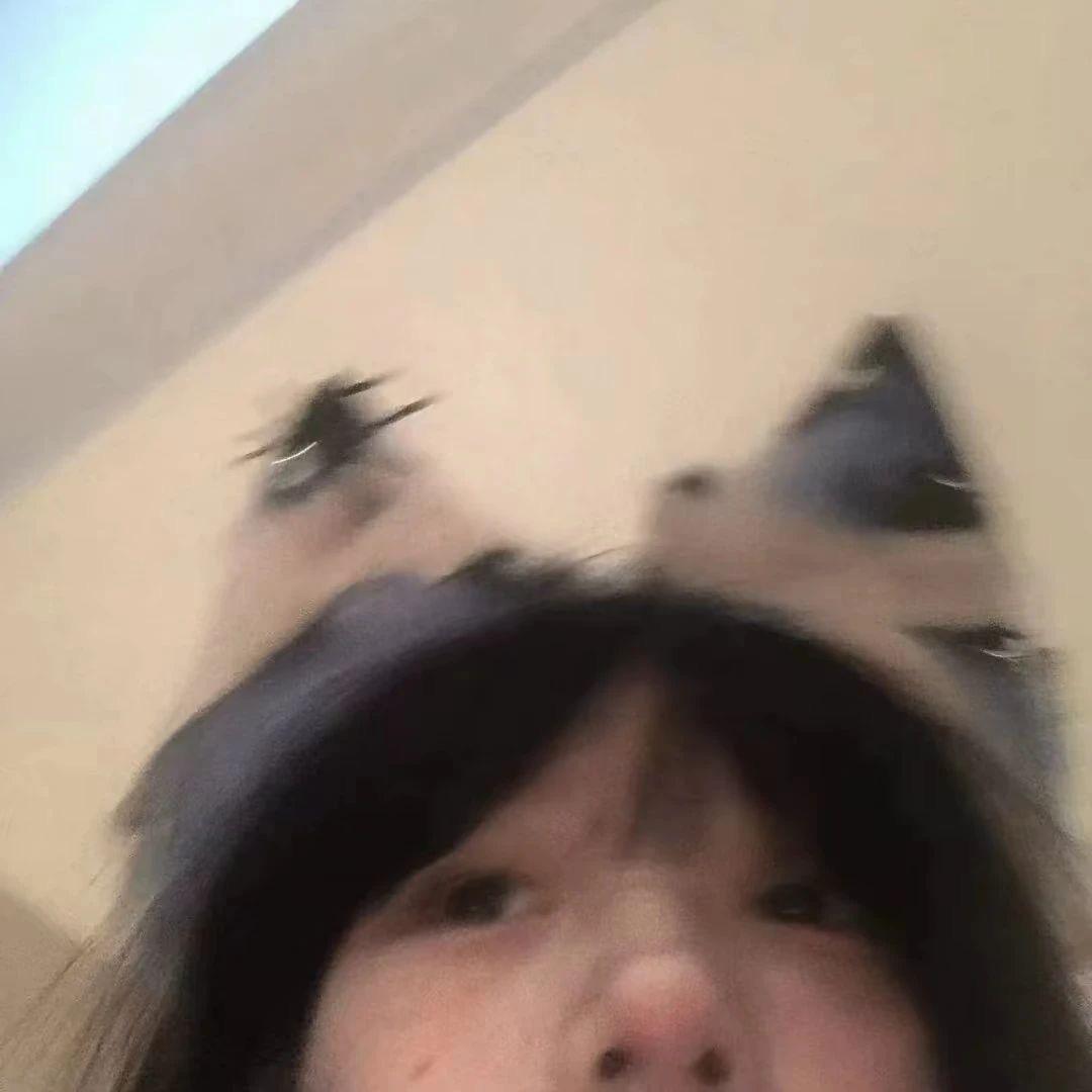 悉以.
