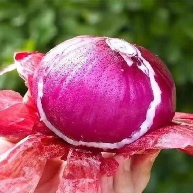 河南特产生鲜助农