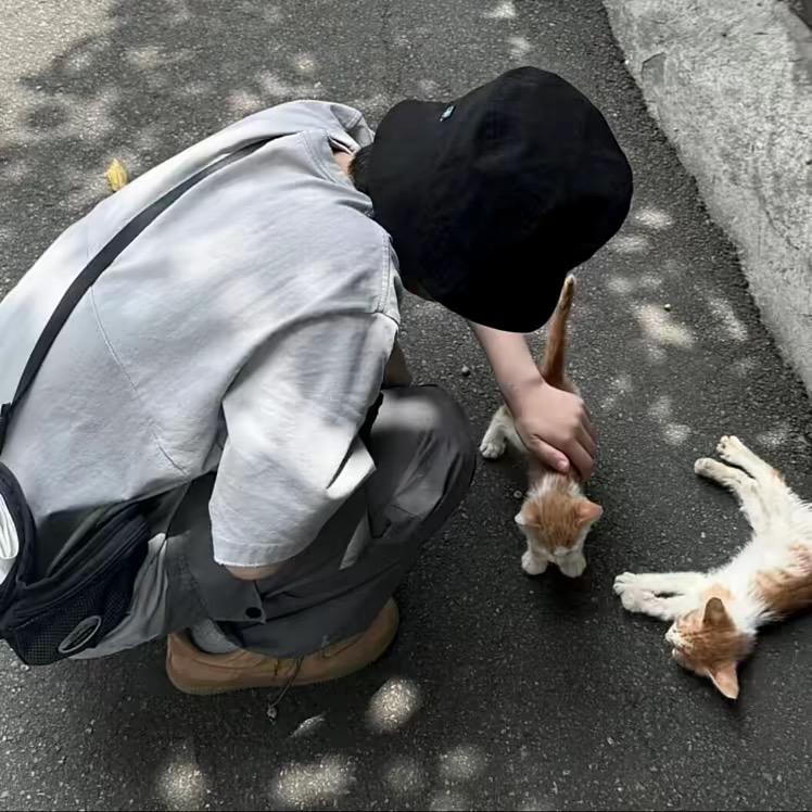 爱意更多