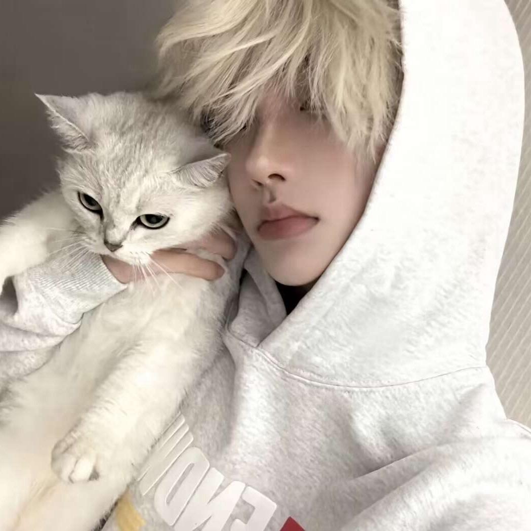 清歌