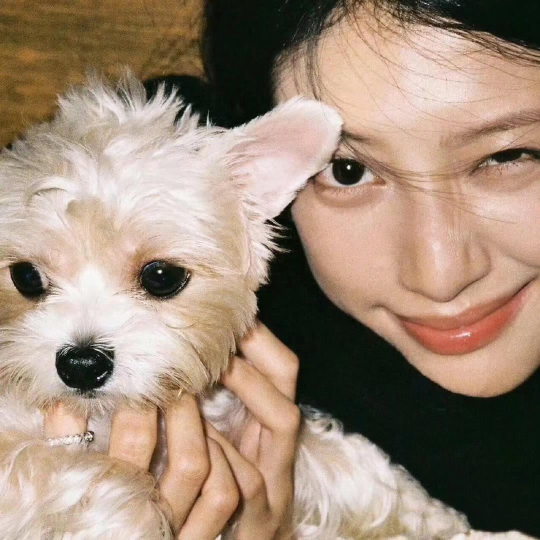 晚晚带你看演出