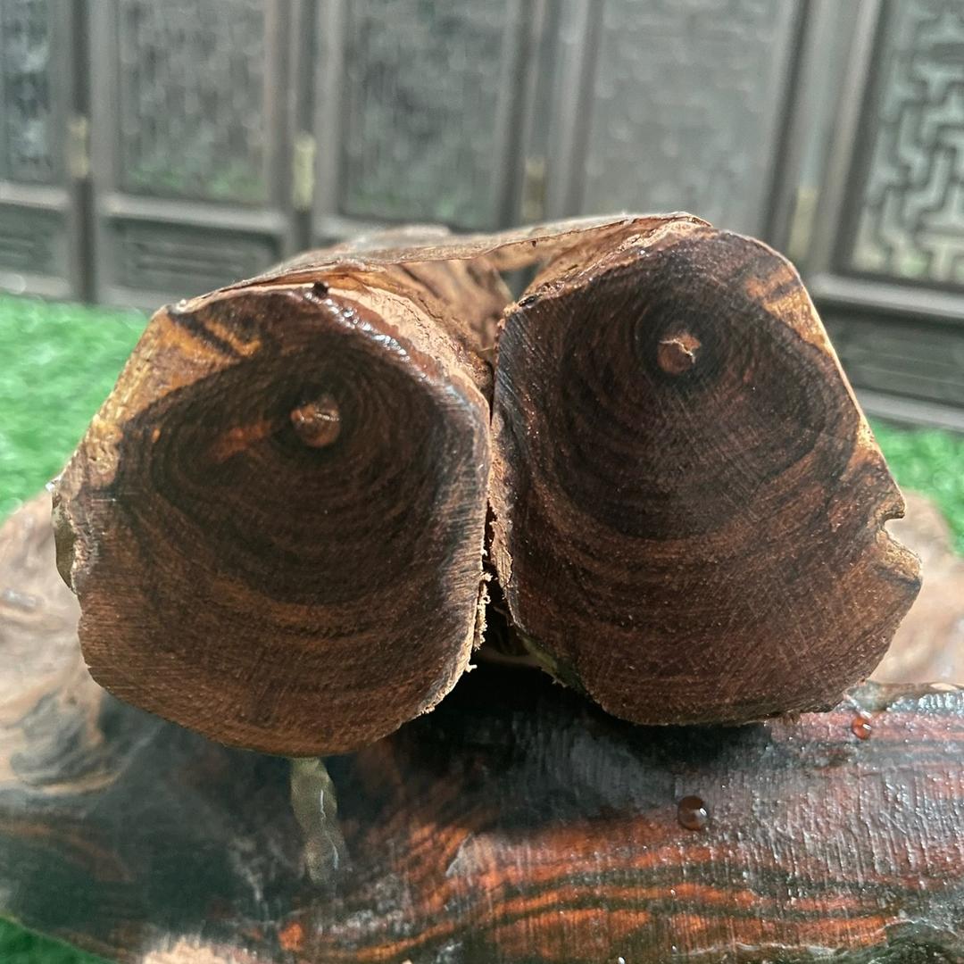 海南黄花梨