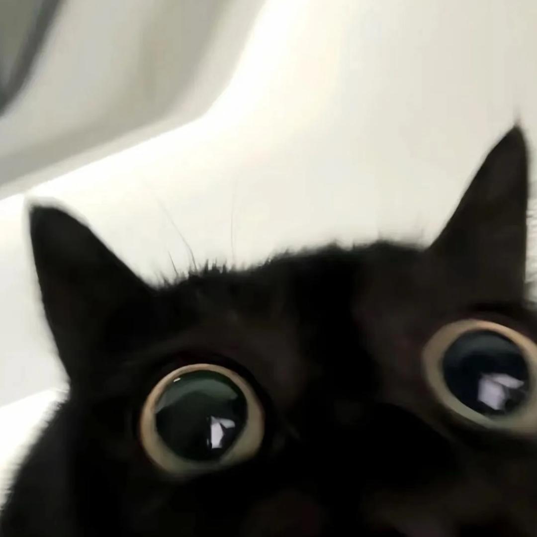 SsYeeeeee