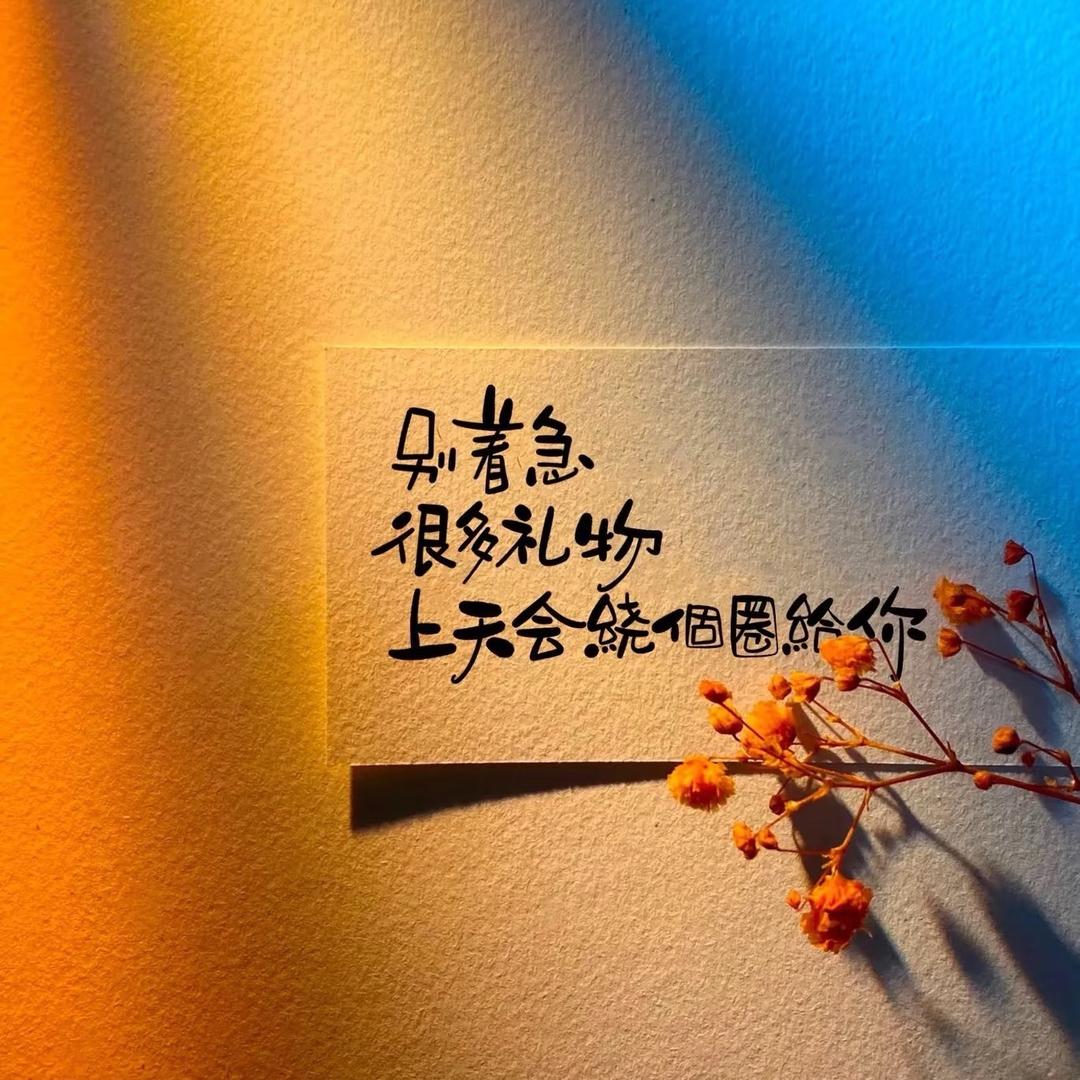 认知圈-飛