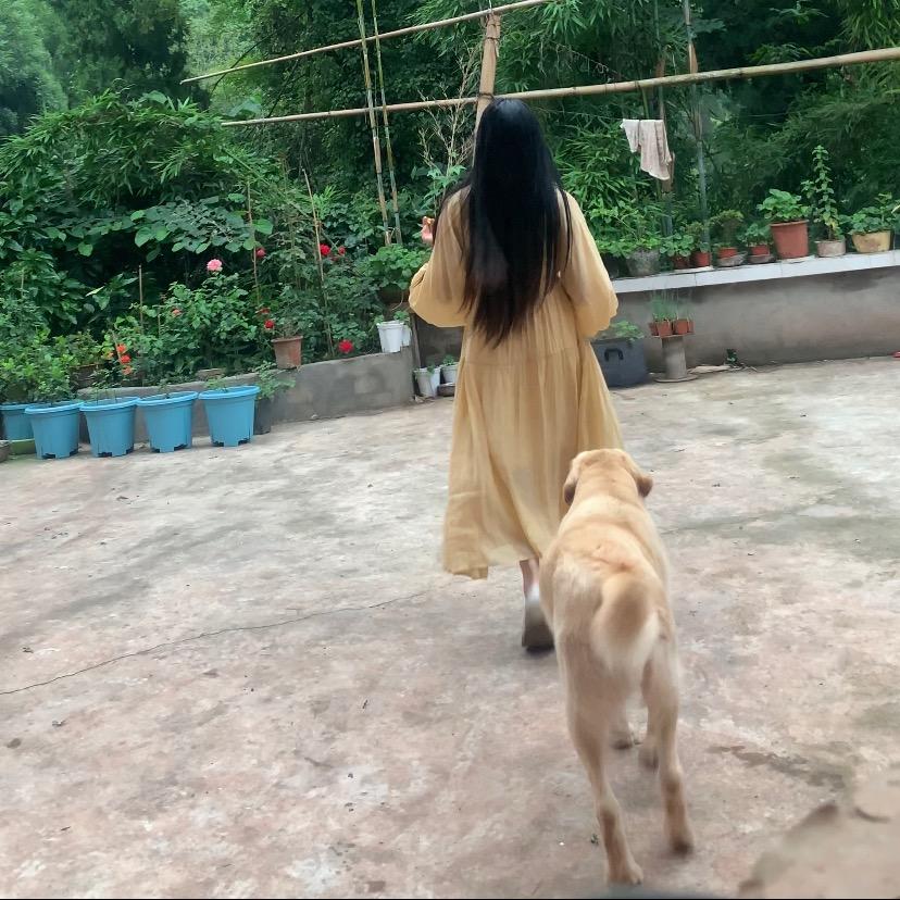 大刈刈的圈圈呀