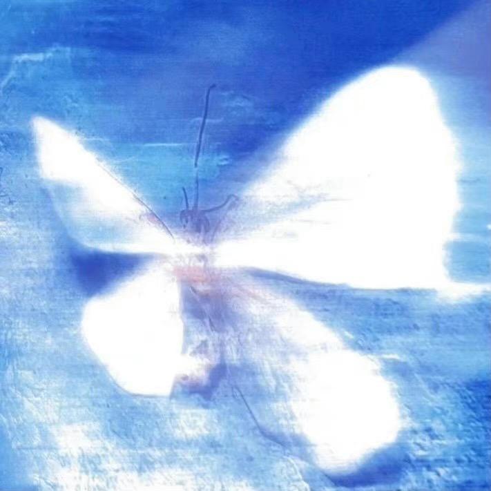 壮壮