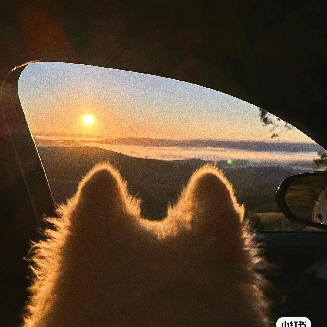 生耶拿铁超好喝🍟（见过混双版）