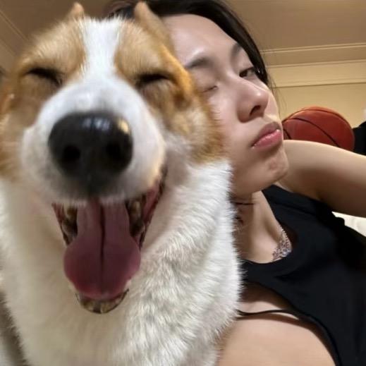 炸毛小猫咪🐱