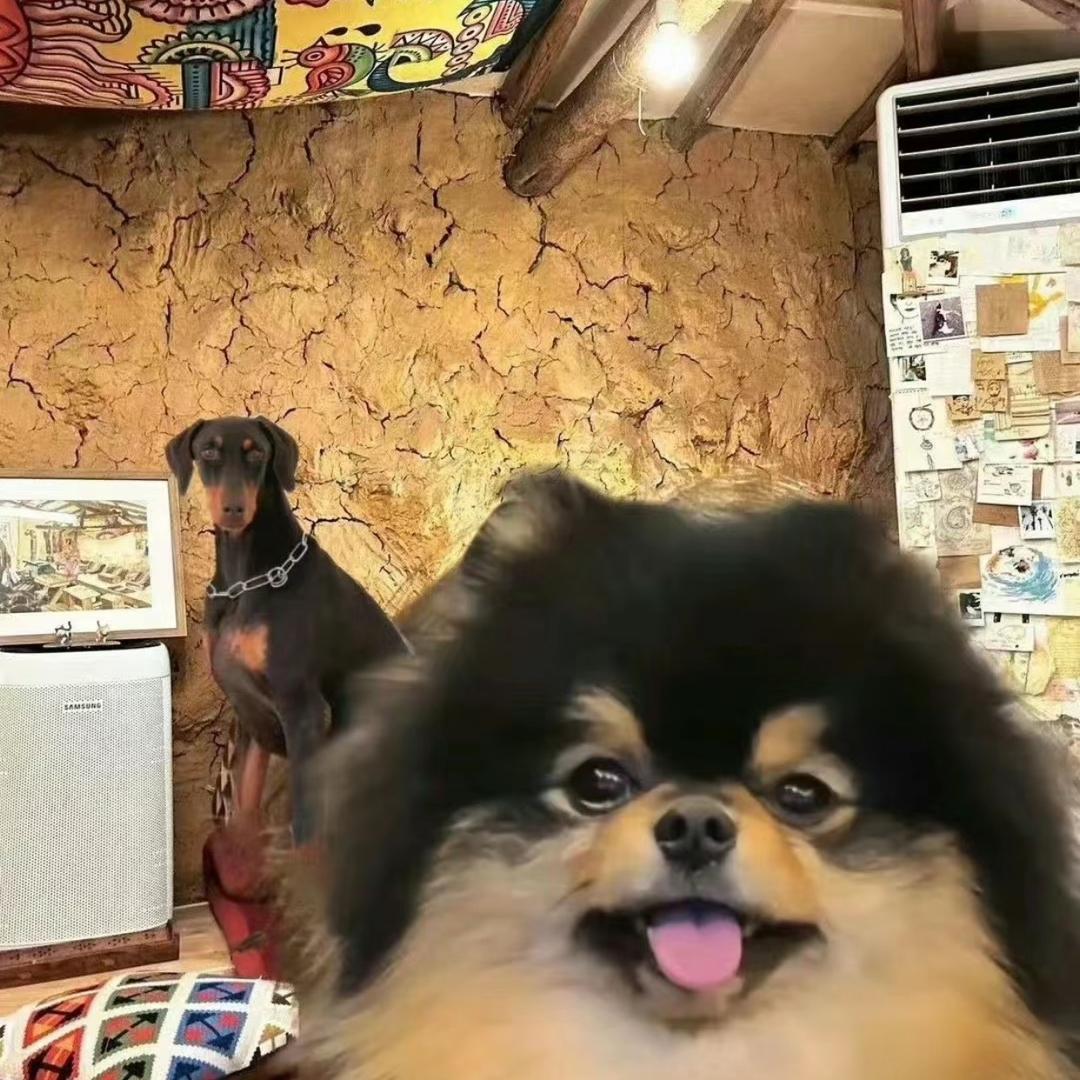 咩了个羊羊羊🐑