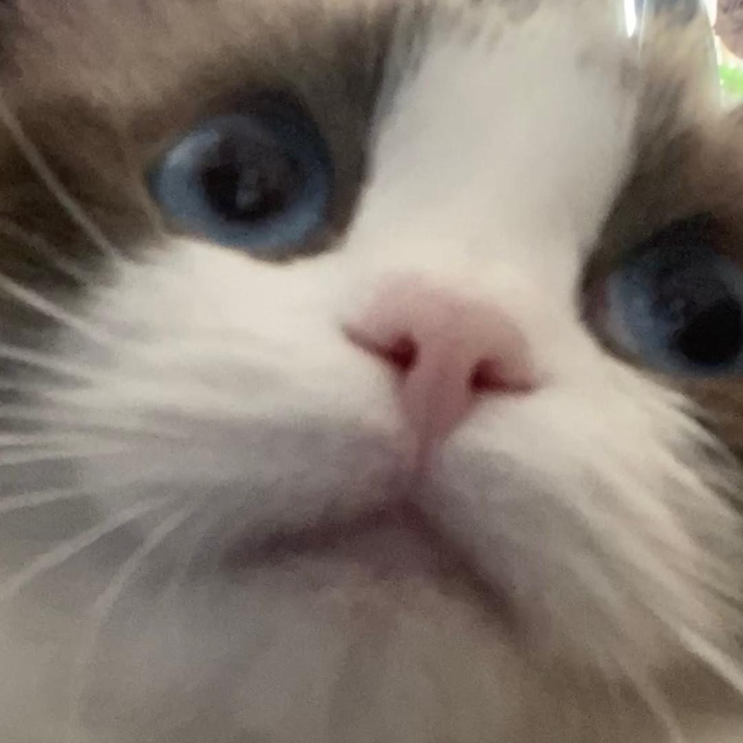 uuumi