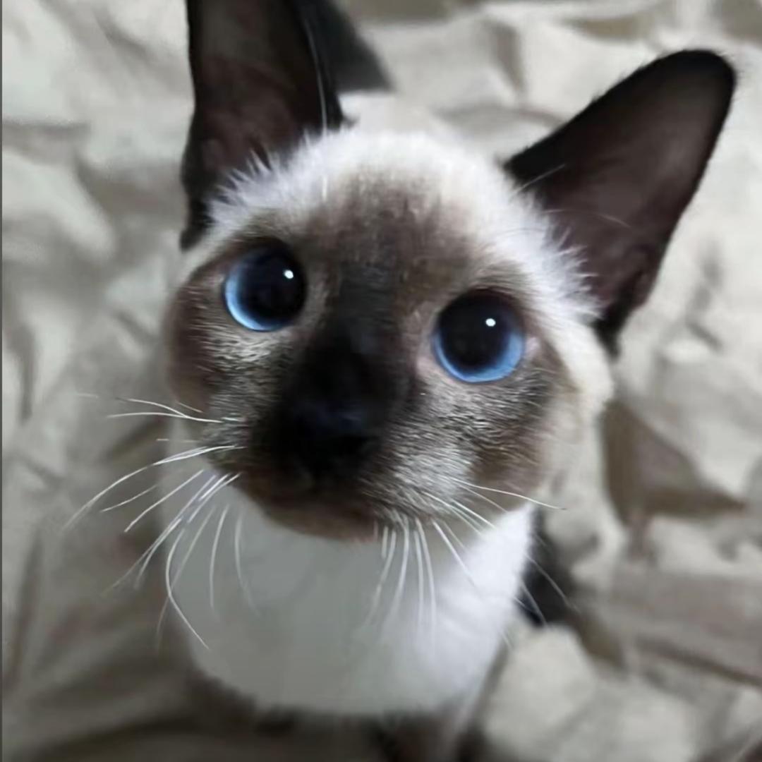 边小小