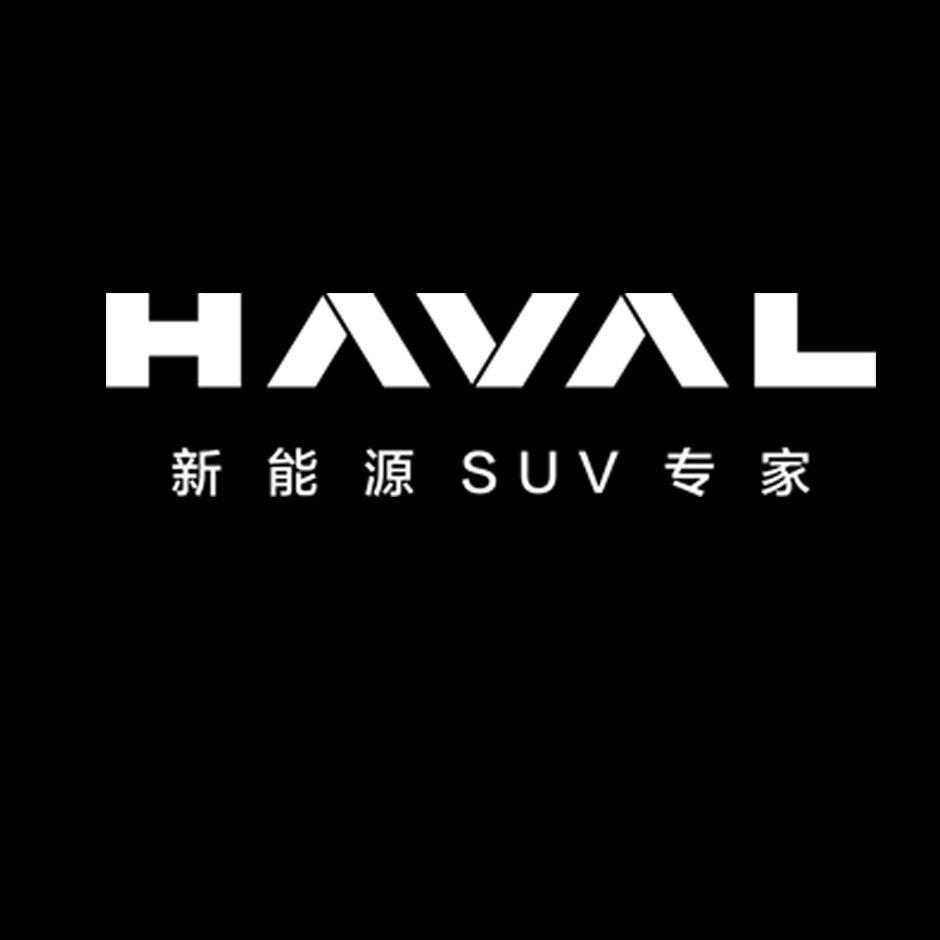 哈弗新能源·淮安长菱