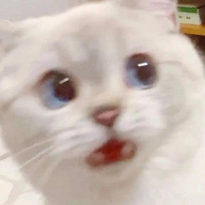 吃饭第一