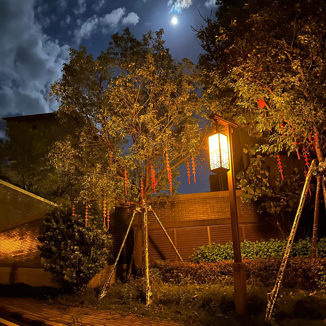 优雅的水晶男孩