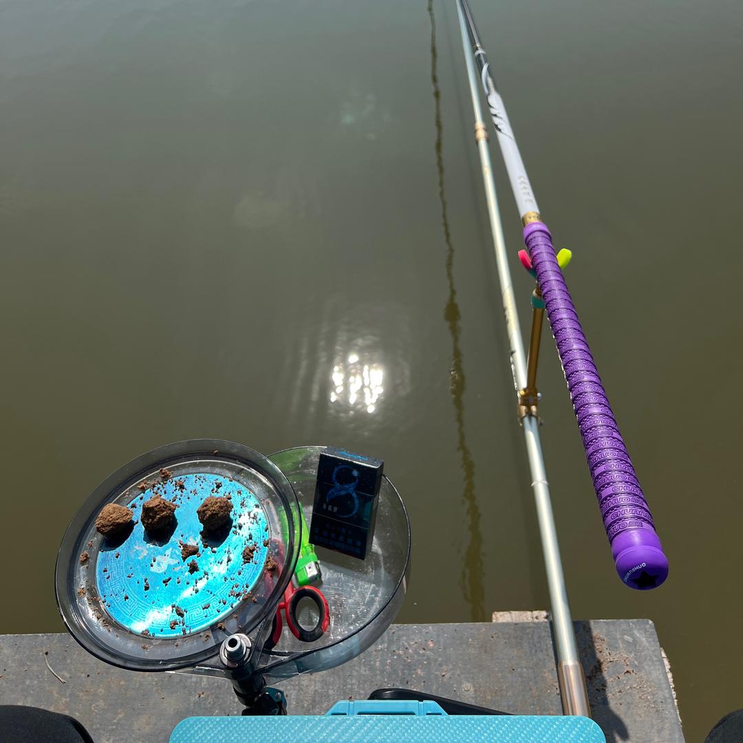 喂鱼大师🎣
