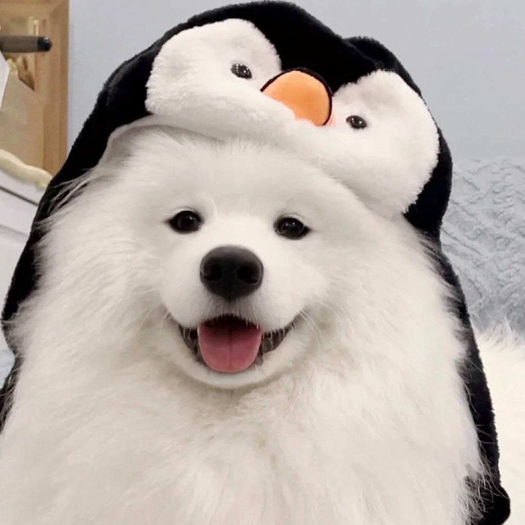 玥yyyyyy