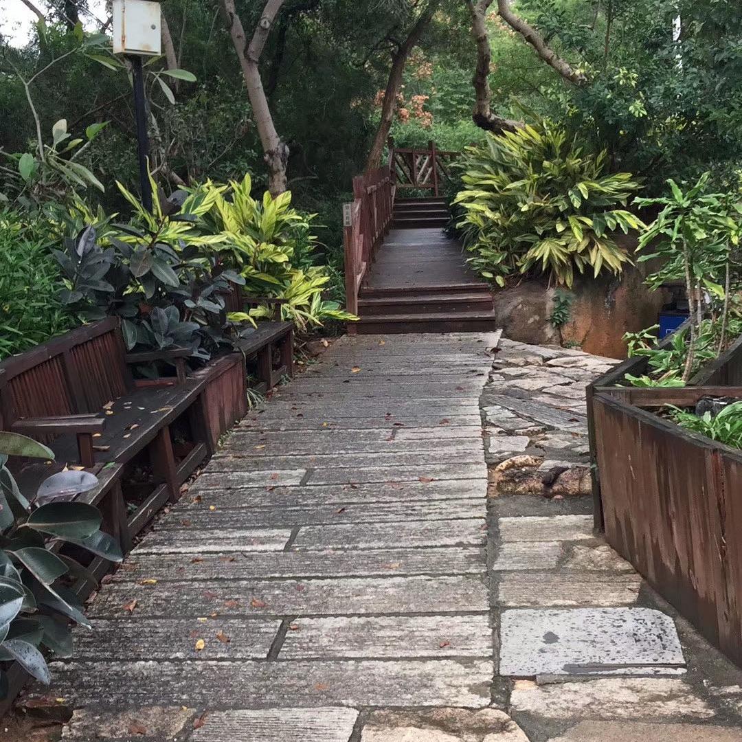 建筑专业木工工程