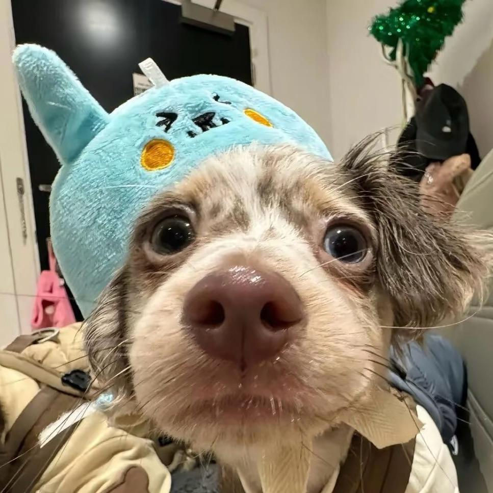 什么时候可以爆富