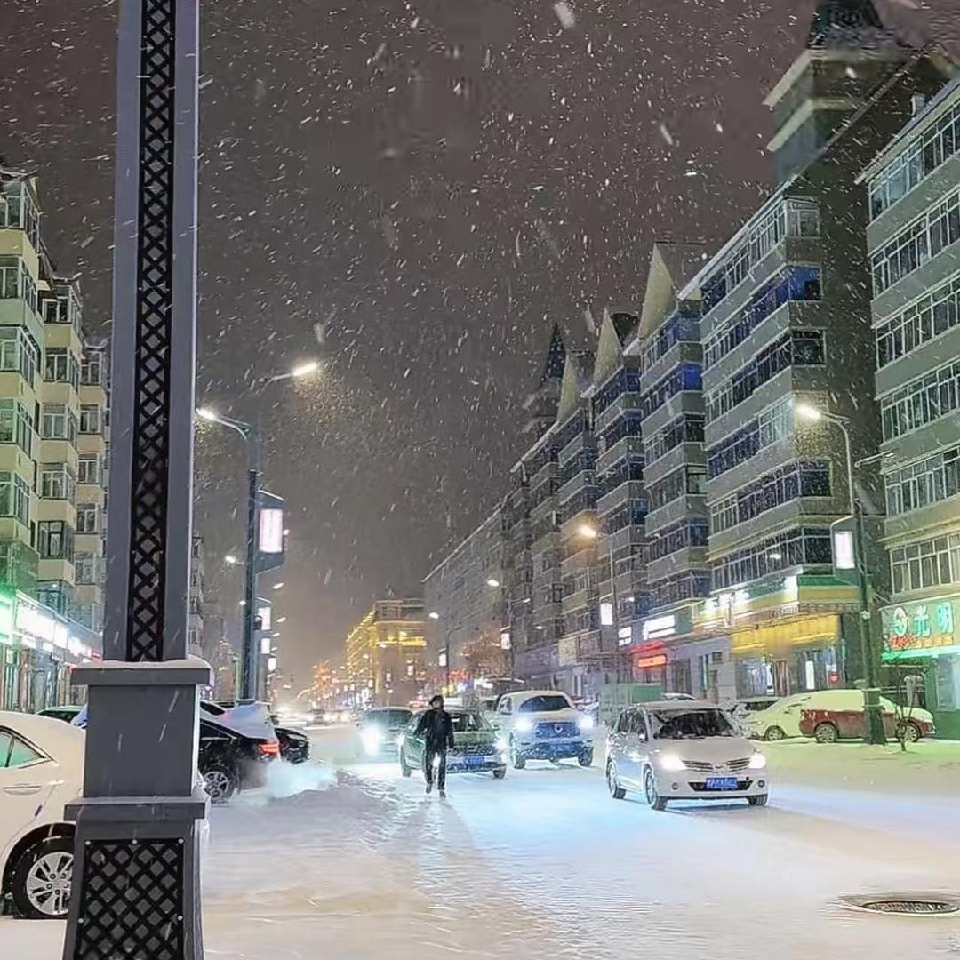 大埔湖寮宠物鱼潮玩市集