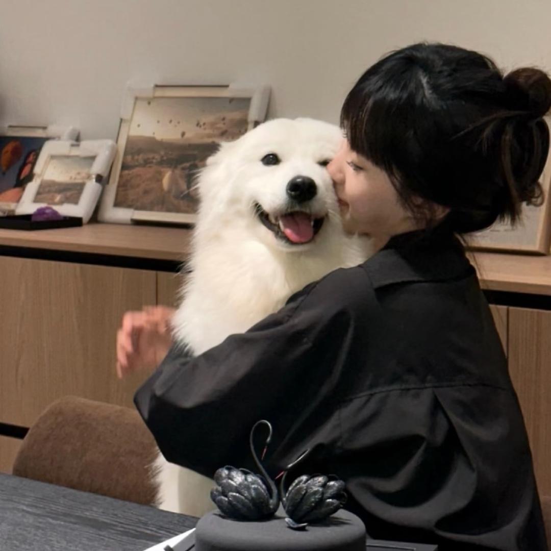 摇一姚.