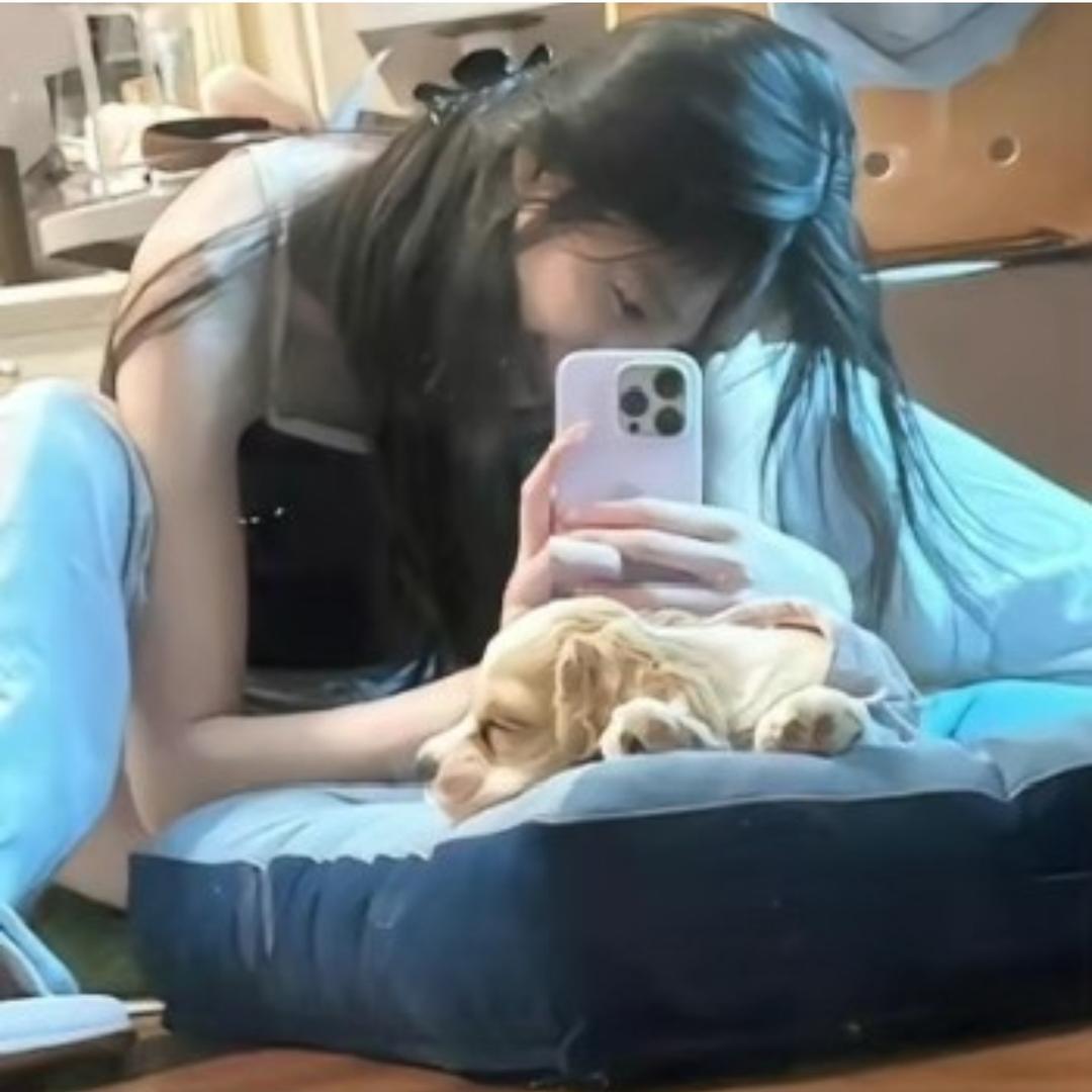 @已读不回就是装