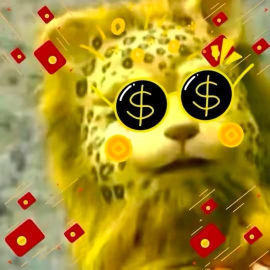 你的凯凯🍁