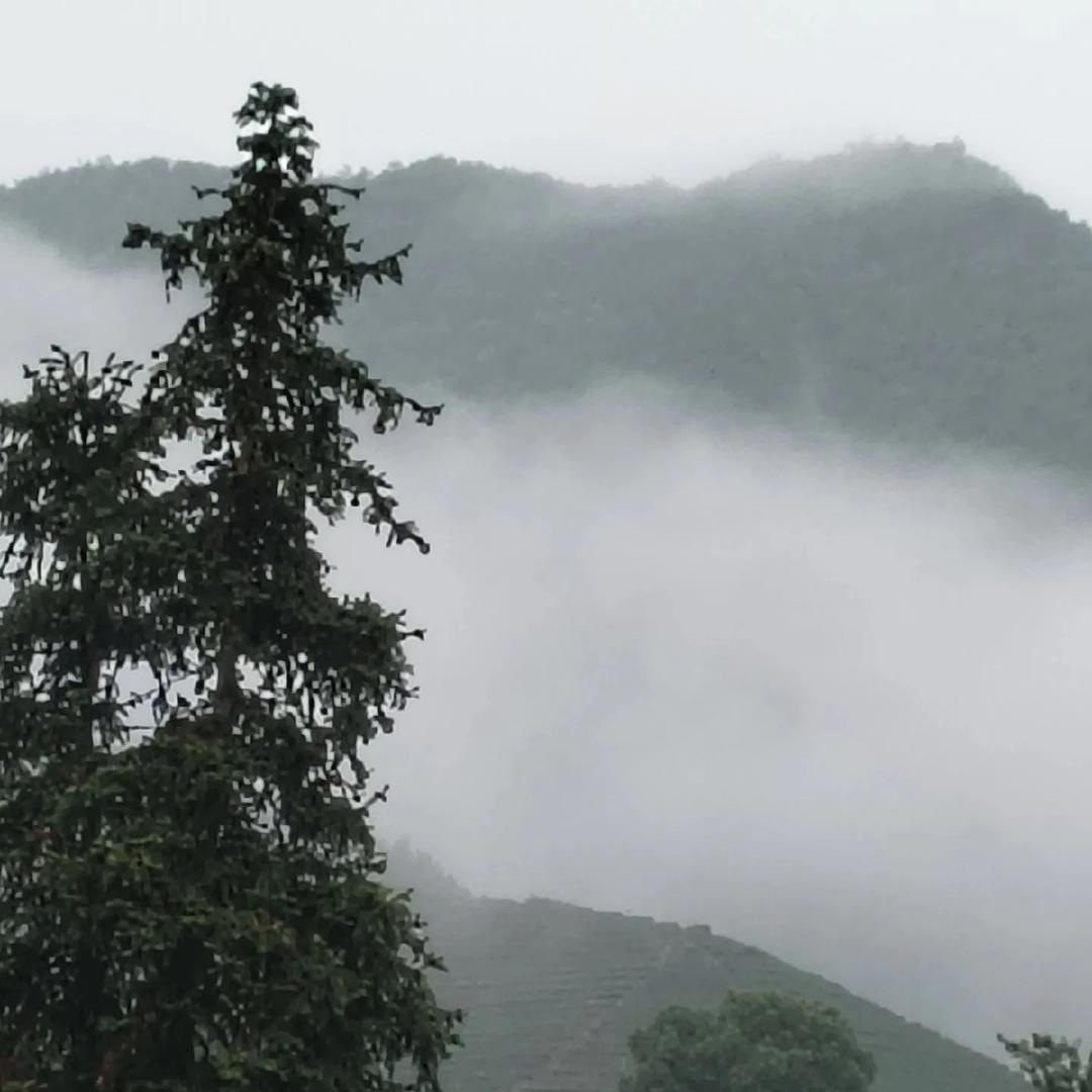 小赵家