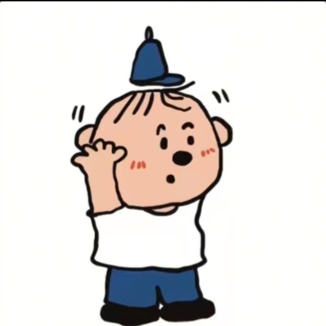 姓朱那小子