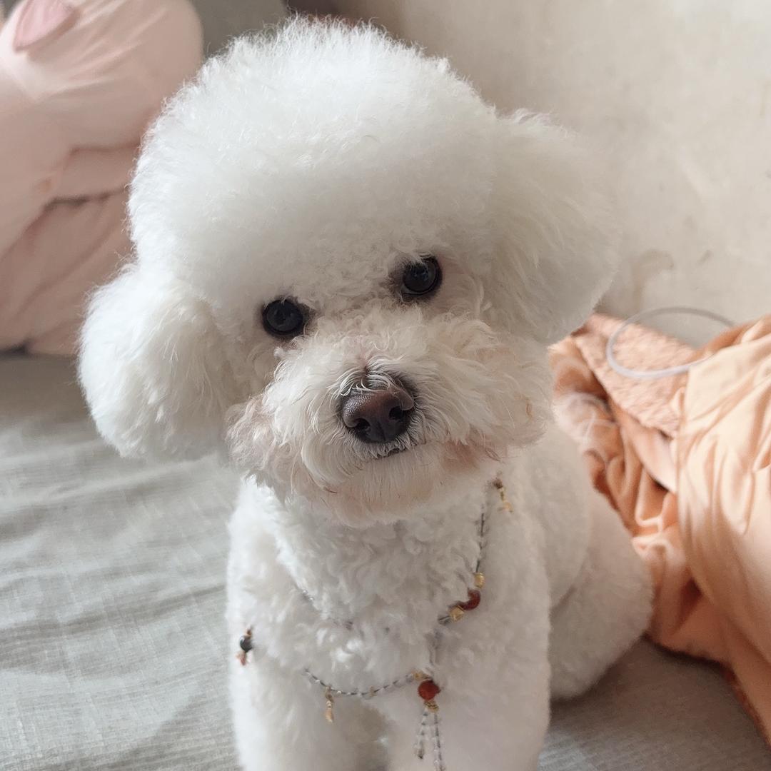 ❄️雪儿❄️