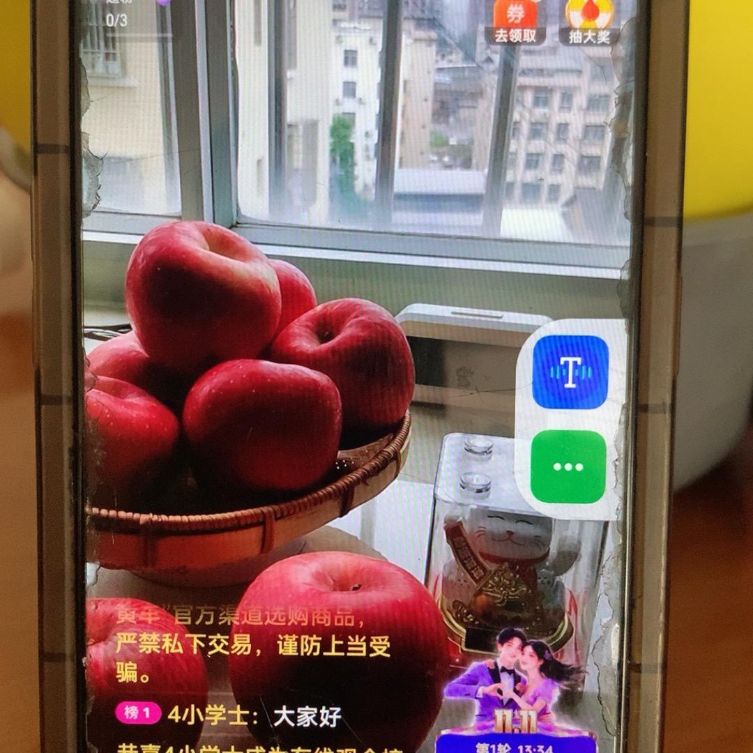 红富士(大古渔）