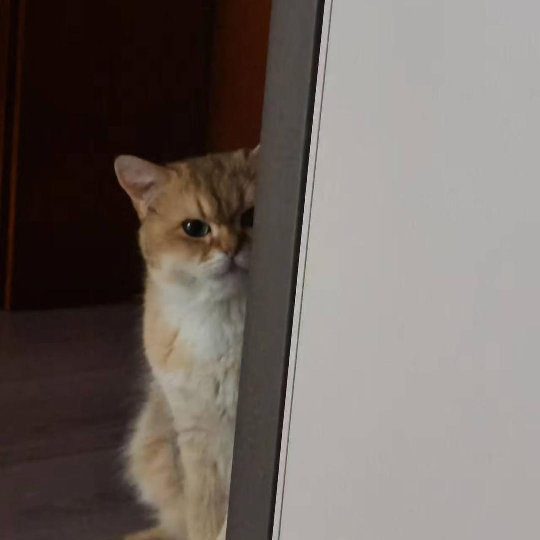 你看不见我