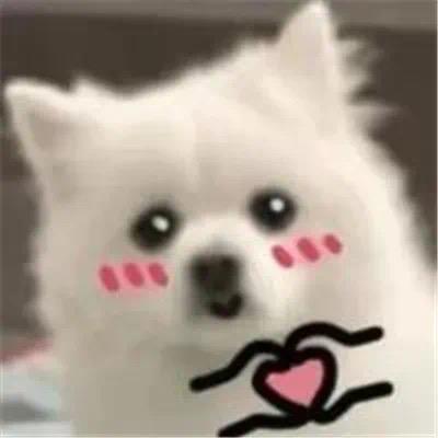 牛爷爷cos性感猫娘勾引隔壁人妻壮壮妈