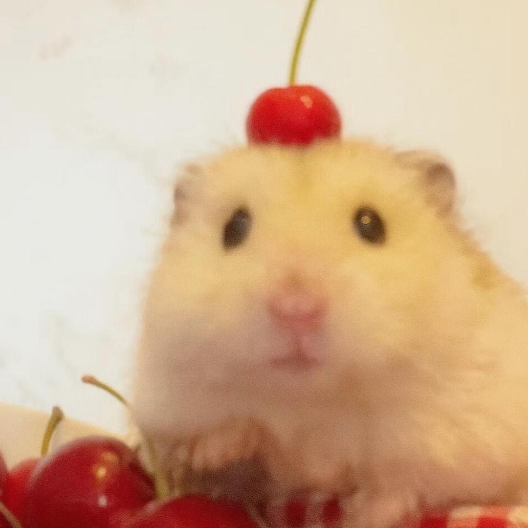 一朵风中摇曳的陈俊生