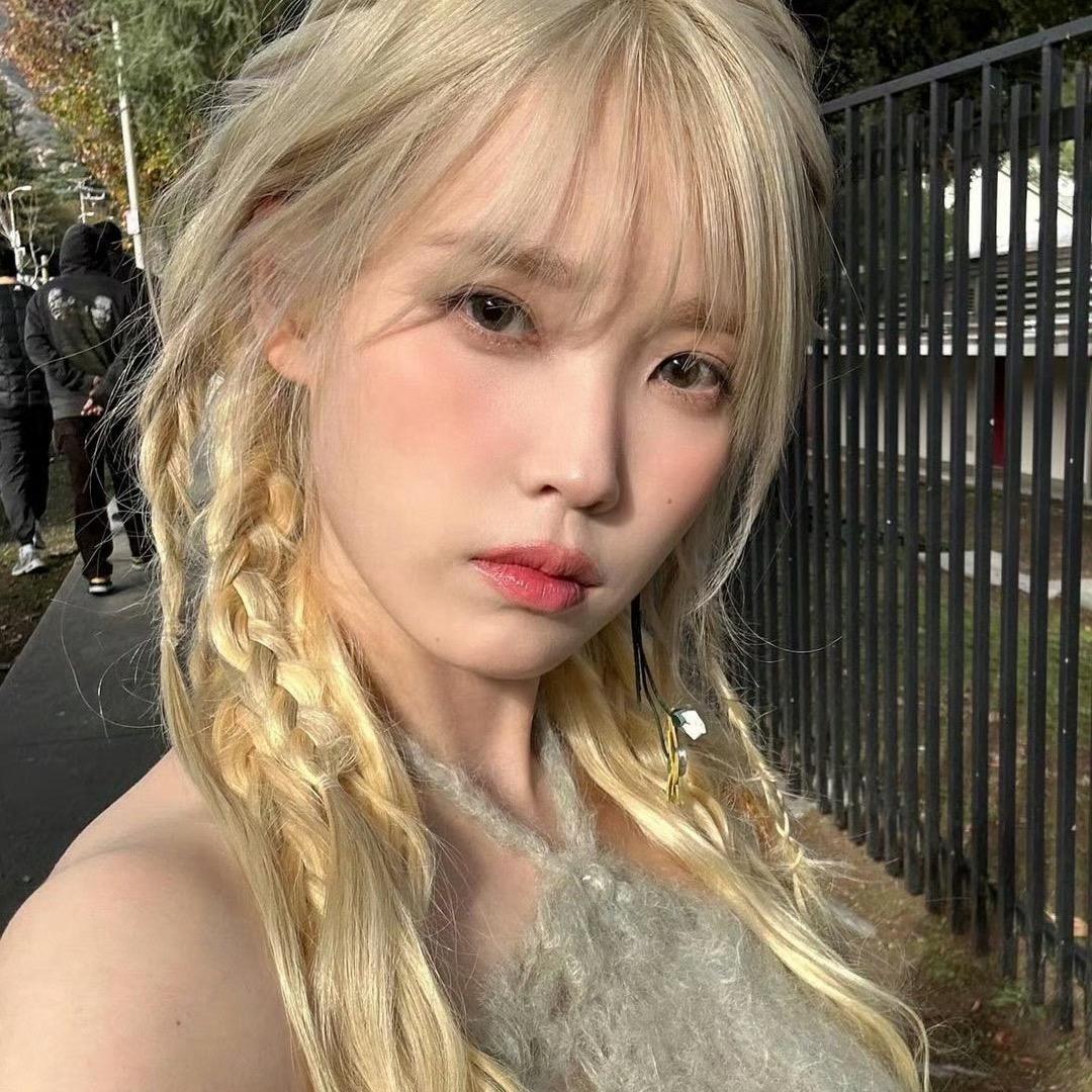 羊