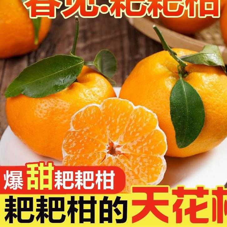 七新果品源产地