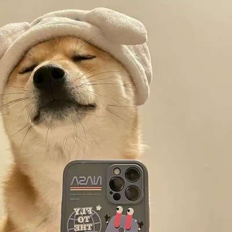大狗