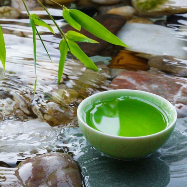 九龙茗园茶业