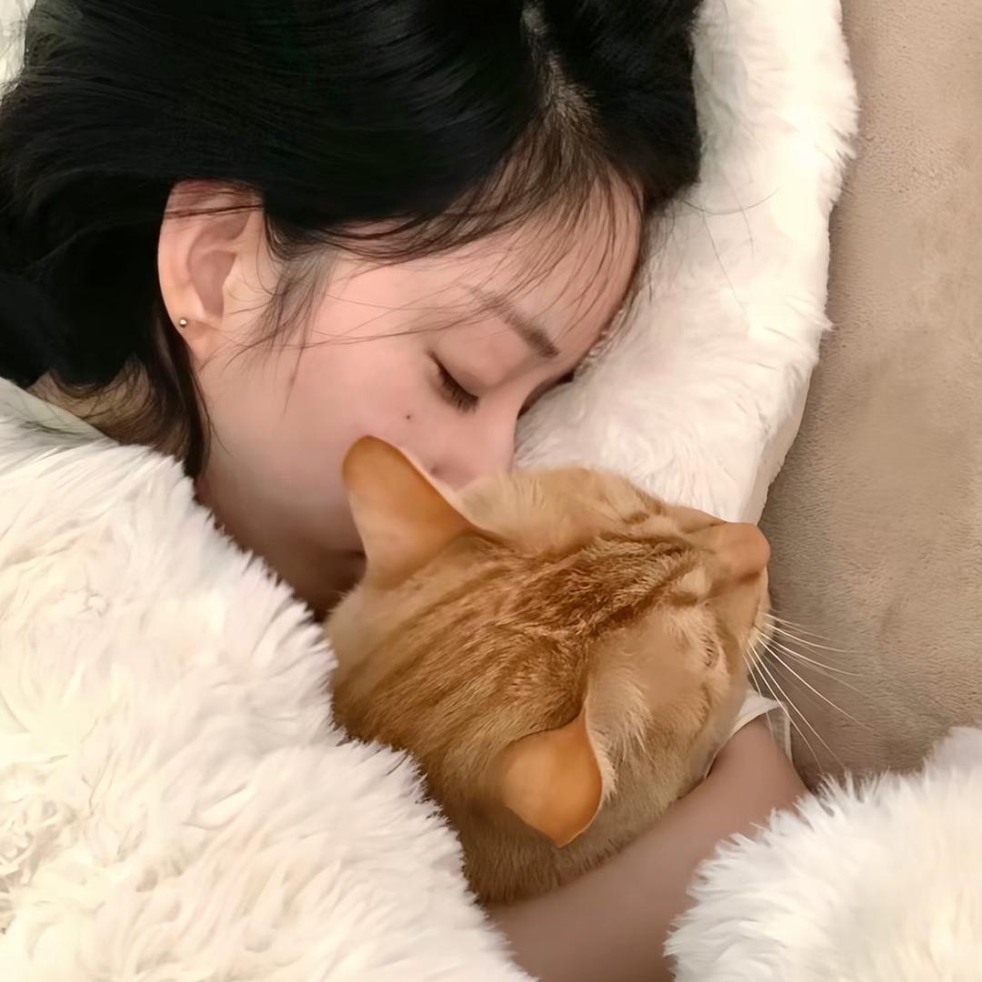 快哄老子睡觉
