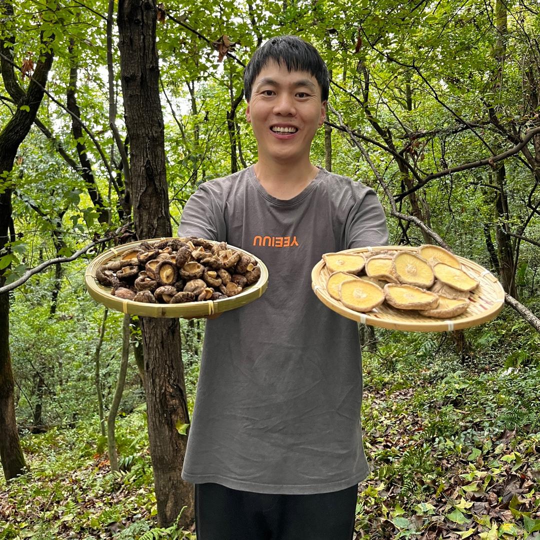 庆元菇色菇香菌菇农副产品