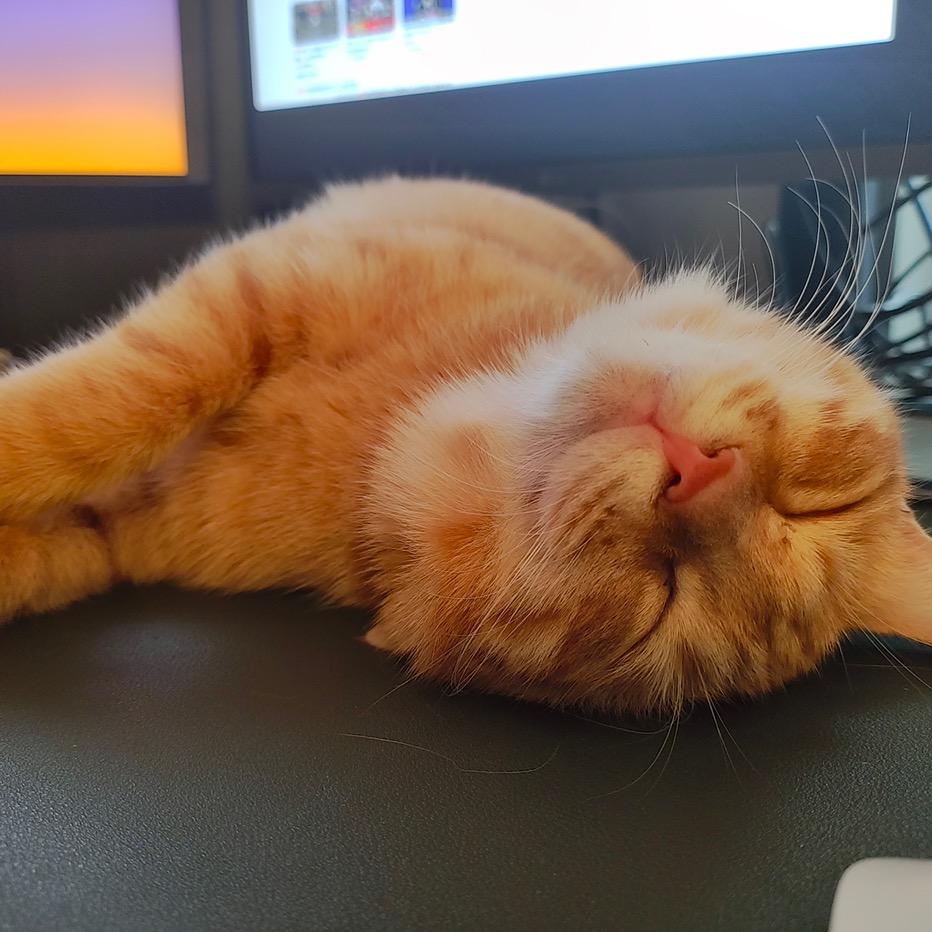 🌈猫孩子🌈