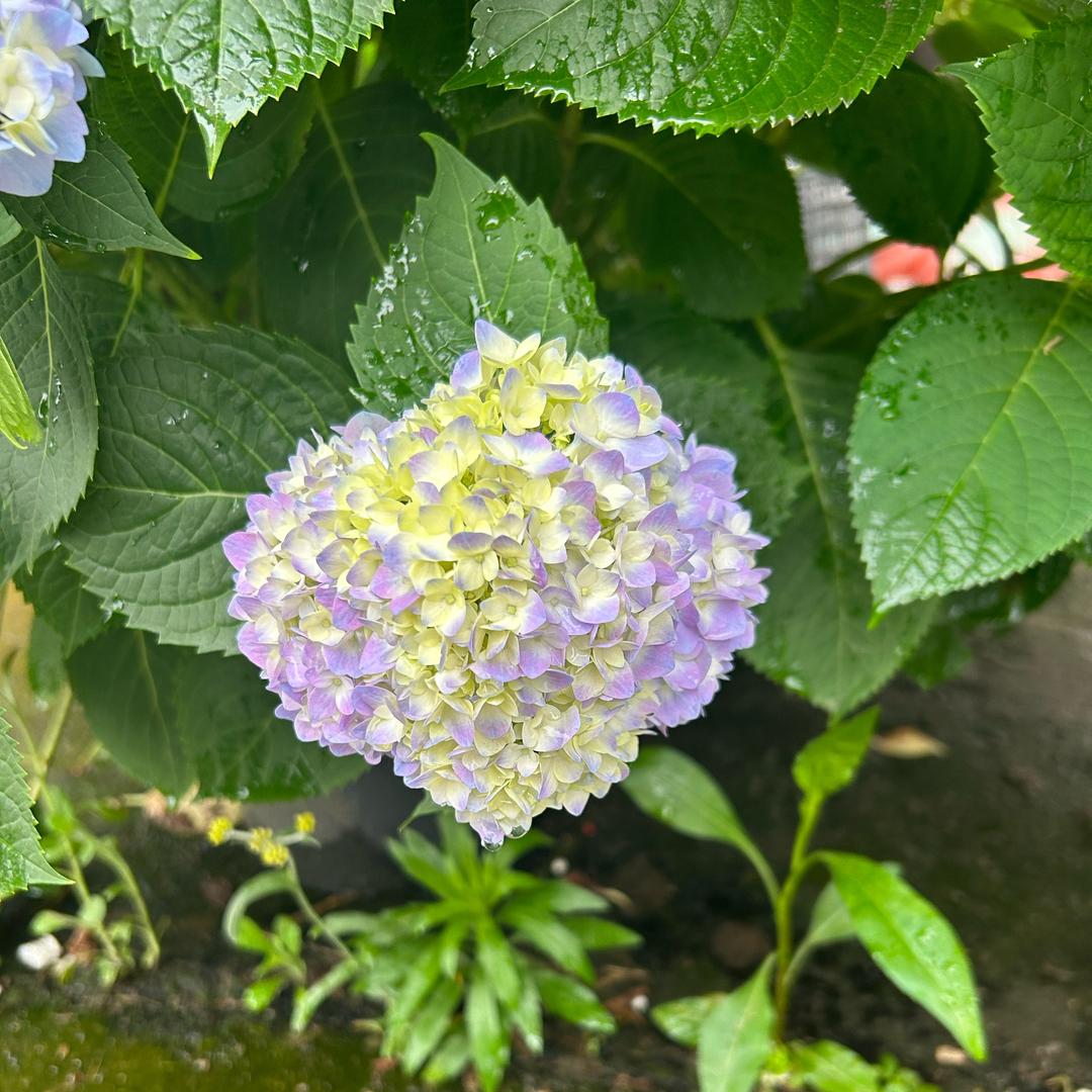 😊