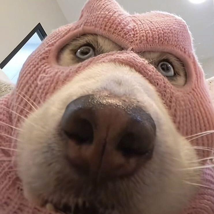 。ᅟᅠ        ‍