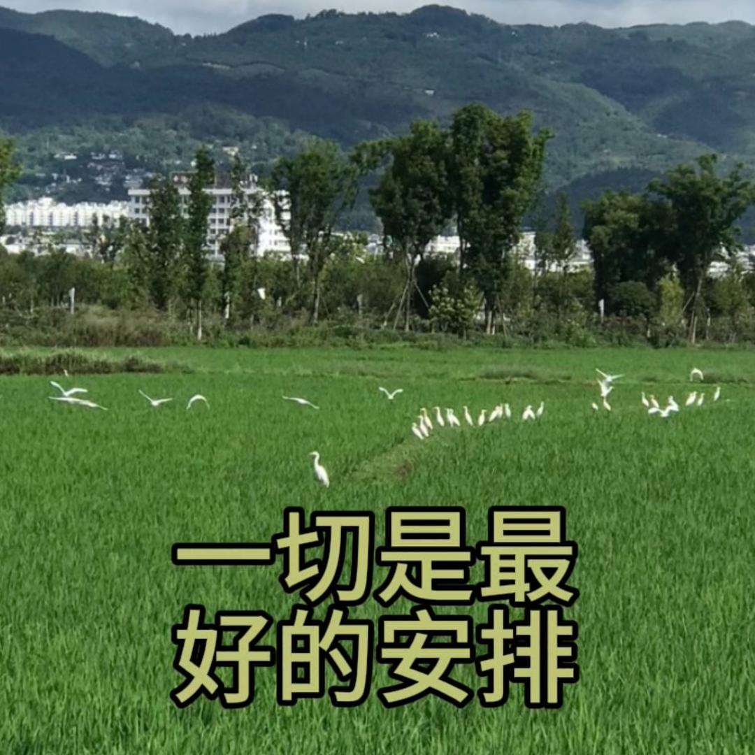 一切是最好的安排
