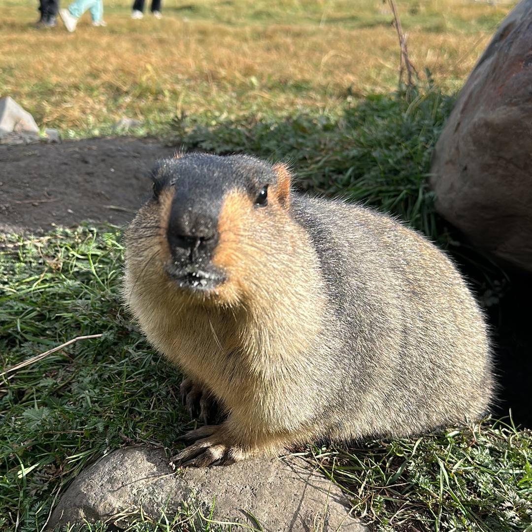 珈蓝幻舞文化传媒