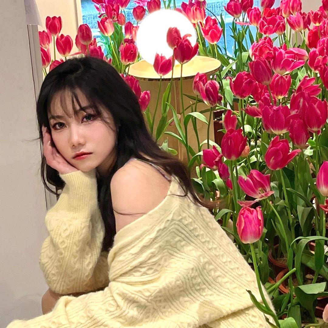 💤暴躁嘉嘉子