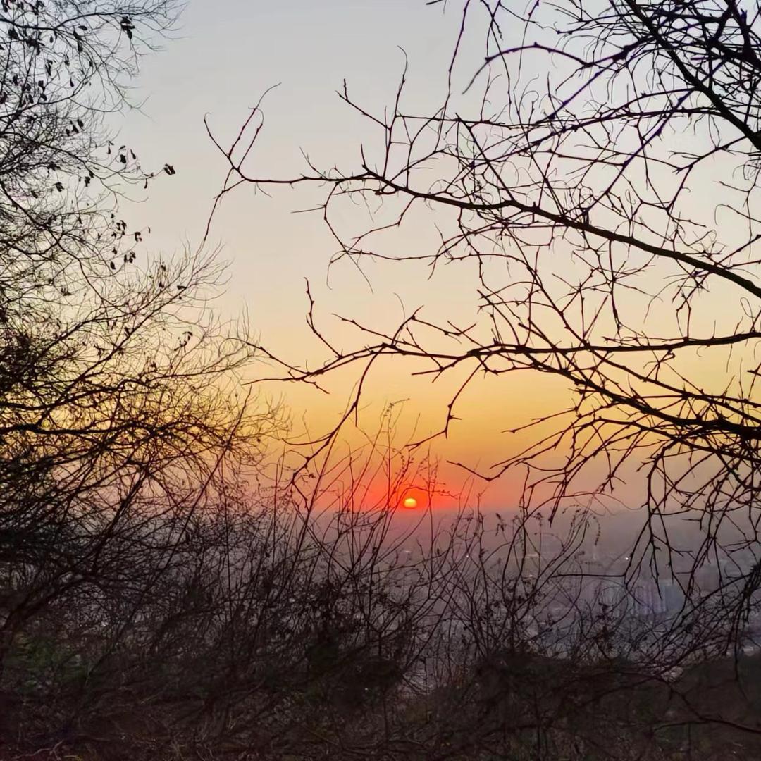 人生本是一场戏作