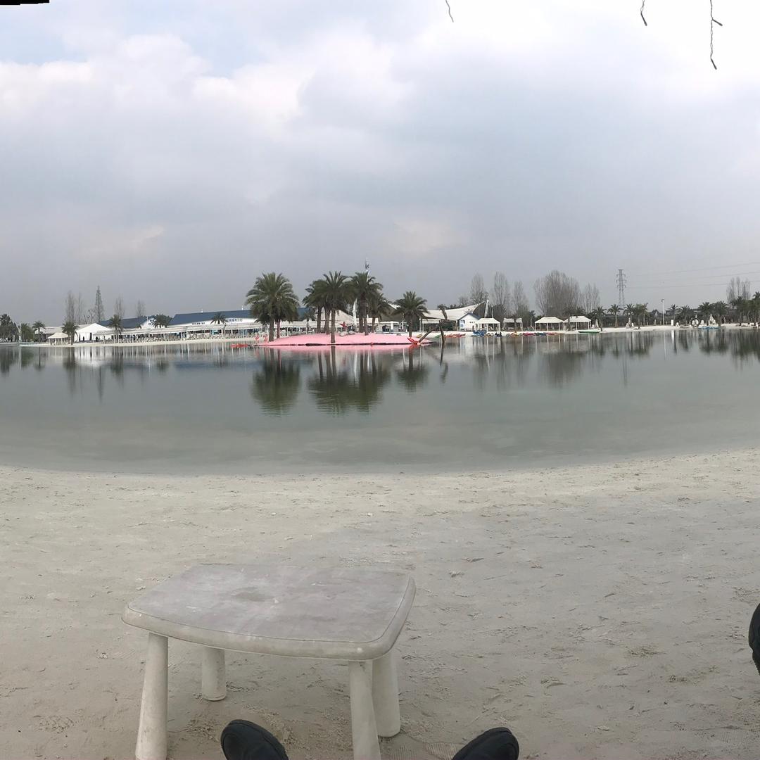 腿短的小卤蛋