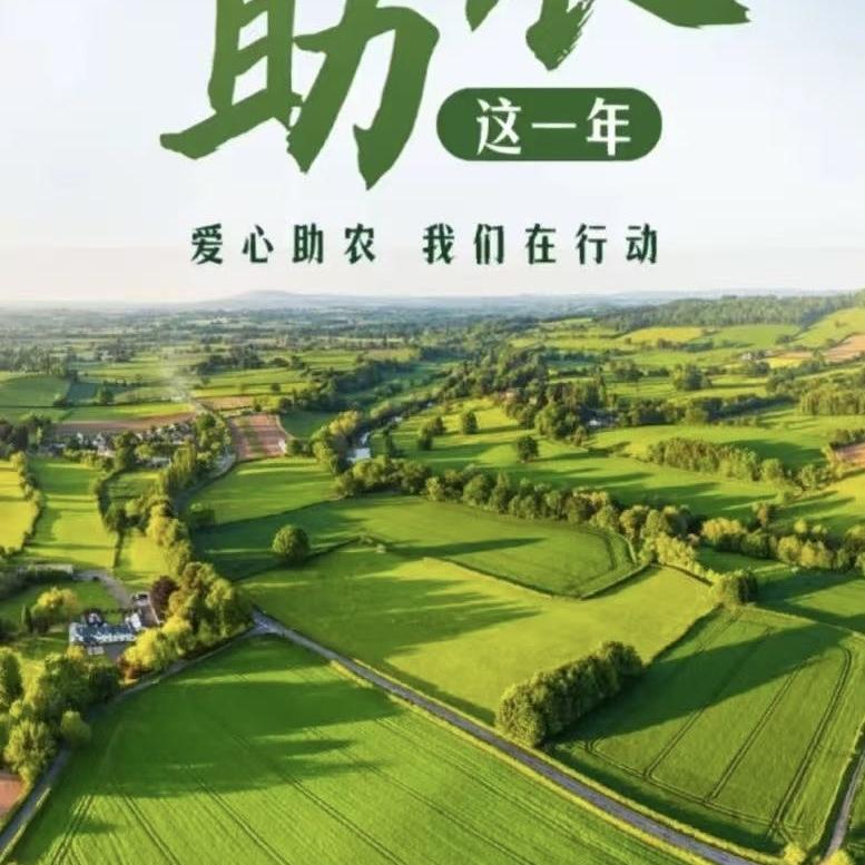 云南好物出山