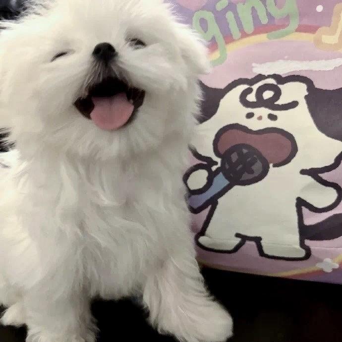 🌈🌈🌈嘟嘟噜