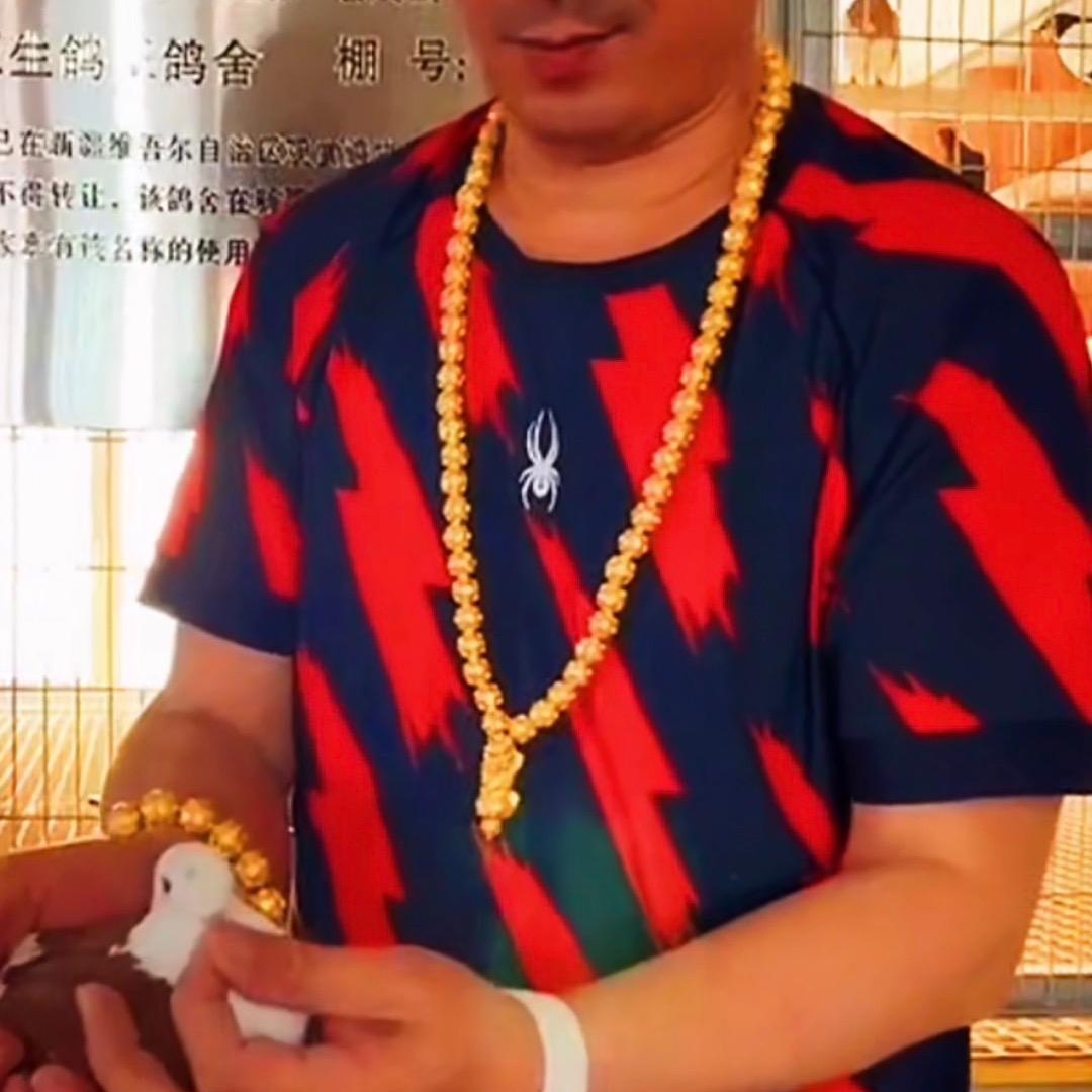 亚生鸽王